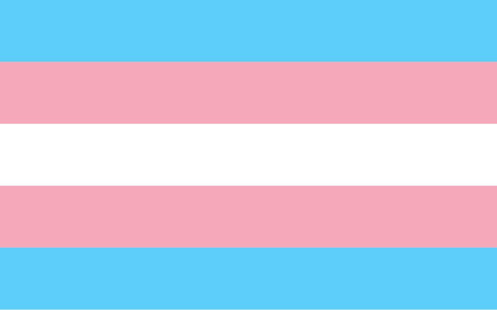 A picture of the transgender flag, with pink, blue, and white stripes.